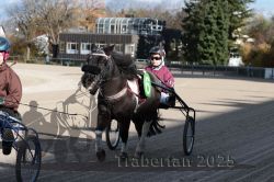 Dateiname=20251026_mt_024_MTT_0077.jpg
Dateigröße=302KB
Abmessungen: 1000x667
hinzugefügt am: 27. Oktober 2025 20251026_mt_024_MTT_0077.jpg