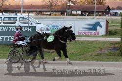 Dateiname=20251026_mt_051_MTT_0156.jpg
Dateigröße=305KB
Abmessungen: 1000x667
hinzugefügt am: 27. Oktober 2025 20251026_mt_051_MTT_0156.jpg