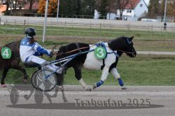 Dateiname=20251026_mt_055_MTT_0189.jpg
Dateigröße=305KB
Abmessungen: 1000x667
hinzugefügt am: 27. Oktober 2025 20251026_mt_055_MTT_0189.jpg