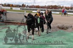 Dateiname=20251026_mt_069_MTT_0274.jpg
Dateigröße=356KB
Abmessungen: 1000x667
hinzugefügt am: 27. Oktober 2025 20251026_mt_069_MTT_0274.jpg