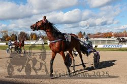 Dateiname=20251026_qu1_001_QU1_0003.jpg
Dateigröße=362KB
Abmessungen: 1000x667
hinzugefügt am: 27. Oktober 2025 20251026_qu1_001_QU1_0003.jpg