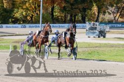 Dateiname=20251026_qu1_008_QU1_0031.jpg
Dateigröße=363KB
Abmessungen: 1000x667
hinzugefügt am: 27. Oktober 2025 20251026_qu1_008_QU1_0031.jpg