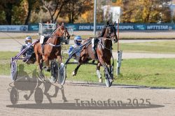 Dateiname=20251026_qu1_010_QU1_0038.jpg
Dateigröße=363KB
Abmessungen: 1000x667
hinzugefügt am: 27. Oktober 2025 20251026_qu1_010_QU1_0038.jpg