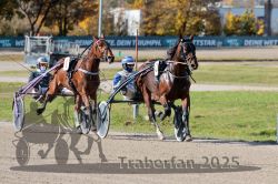 Dateiname=20251026_qu1_011_QU1_0042.jpg
Dateigröße=361KB
Abmessungen: 1000x667
hinzugefügt am: 27. Oktober 2025 20251026_qu1_011_QU1_0042.jpg