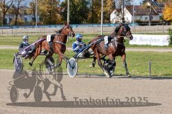 Dateiname=20251026_qu1_012_QU1_0053.jpg
Dateigröße=410KB
Abmessungen: 1000x667
hinzugefügt am: 27. Oktober 2025 20251026_qu1_012_QU1_0053.jpg