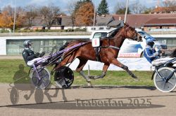 Dateiname=20251026_qu1_018_QU1_0070.jpg
Dateigröße=357KB
Abmessungen: 1000x667
hinzugefügt am: 27. Oktober 2025 20251026_qu1_018_QU1_0070.jpg