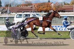 Dateiname=20251026_qu1_019_QU1_0074.jpg
Dateigröße=349KB
Abmessungen: 1000x667
hinzugefügt am: 27. Oktober 2025 20251026_qu1_019_QU1_0074.jpg