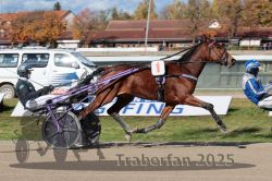 Dateiname=20251026_qu1_020_QU1_0077.jpg
Dateigröße=346KB
Abmessungen: 1000x667
hinzugefügt am: 27. Oktober 2025 20251026_qu1_020_QU1_0077.jpg