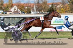 Dateiname=20251026_qu1_024_QU1_0084.jpg
Dateigröße=352KB
Abmessungen: 1000x667
hinzugefügt am: 27. Oktober 2025 20251026_qu1_024_QU1_0084.jpg