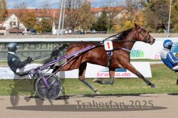 Dateiname=20251026_qu1_025_QU1_0085.jpg
Dateigröße=351KB
Abmessungen: 1000x667
hinzugefügt am: 27. Oktober 2025 20251026_qu1_025_QU1_0085.jpg