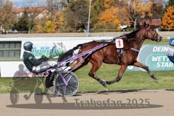 Dateiname=20251026_qu1_026_QU1_0088.jpg
Dateigröße=353KB
Abmessungen: 1000x667
hinzugefügt am: 27. Oktober 2025 20251026_qu1_026_QU1_0088.jpg