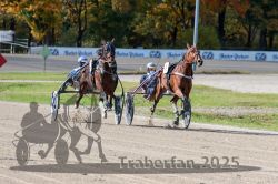 Dateiname=20251026_qu1_028_QU1_0096.jpg
Dateigröße=340KB
Abmessungen: 1000x667
hinzugefügt am: 27. Oktober 2025 20251026_qu1_028_QU1_0096.jpg