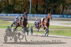 Dateiname=20251026_qu1_030_QU1_0103.jpg
Dateigröße=336KB
Abmessungen: 1000x667
hinzugefügt am: 27. Oktober 2025 20251026_qu1_030_QU1_0103.jpg