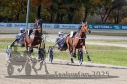 Dateiname=20251026_qu1_031_QU1_0107.jpg
Dateigröße=329KB
Abmessungen: 1000x667
hinzugefügt am: 27. Oktober 2025 20251026_qu1_031_QU1_0107.jpg