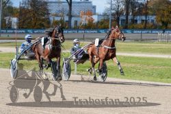 Dateiname=20251026_qu1_032_QU1_0111.jpg
Dateigröße=382KB
Abmessungen: 1000x667
hinzugefügt am: 27. Oktober 2025 20251026_qu1_032_QU1_0111.jpg