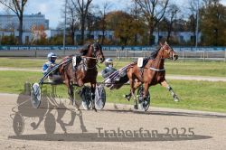 Dateiname=20251026_qu1_035_QU1_0118.jpg
Dateigröße=376KB
Abmessungen: 1000x667
hinzugefügt am: 27. Oktober 2025 20251026_qu1_035_QU1_0118.jpg