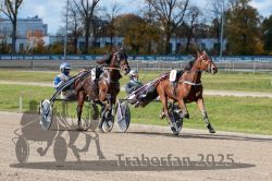 Dateiname=20251026_qu1_036_QU1_0119.jpg
Dateigröße=367KB
Abmessungen: 1000x667
hinzugefügt am: 27. Oktober 2025 20251026_qu1_036_QU1_0119.jpg