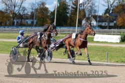 Dateiname=20251026_qu1_039_QU1_0126.jpg
Dateigröße=368KB
Abmessungen: 1000x667
hinzugefügt am: 27. Oktober 2025 20251026_qu1_039_QU1_0126.jpg