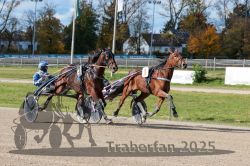 Dateiname=20251026_qu1_040_QU1_0128.jpg
Dateigröße=381KB
Abmessungen: 1000x667
hinzugefügt am: 27. Oktober 2025 20251026_qu1_040_QU1_0128.jpg