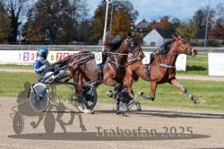 Dateiname=20251026_qu1_043_QU1_0139.jpg
Dateigröße=344KB
Abmessungen: 1000x667
hinzugefügt am: 27. Oktober 2025 20251026_qu1_043_QU1_0139.jpg