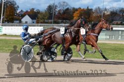 Dateiname=20251026_qu1_044_QU1_0143.jpg
Dateigröße=336KB
Abmessungen: 1000x667
hinzugefügt am: 27. Oktober 2025 20251026_qu1_044_QU1_0143.jpg