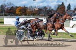 Dateiname=20251026_qu1_045_QU1_0146.jpg
Dateigröße=339KB
Abmessungen: 1000x667
hinzugefügt am: 27. Oktober 2025 20251026_qu1_045_QU1_0146.jpg