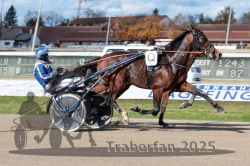 Dateiname=20251026_qu1_046_QU1_0151.jpg
Dateigröße=325KB
Abmessungen: 1000x667
hinzugefügt am: 27. Oktober 2025 20251026_qu1_046_QU1_0151.jpg