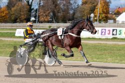 Dateiname=20251026_qu2_003_QU2_0013.jpg
Dateigröße=332KB
Abmessungen: 1000x667
hinzugefügt am: 27. Oktober 2025 20251026_qu2_003_QU2_0013.jpg