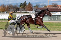 Dateiname=20251026_qu2_008_QU2_0024.jpg
Dateigröße=304KB
Abmessungen: 1000x667
hinzugefügt am: 27. Oktober 2025 20251026_qu2_008_QU2_0024.jpg