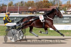 Dateiname=20251026_qu2_010_QU2_0031.jpg
Dateigröße=314KB
Abmessungen: 1000x667
hinzugefügt am: 27. Oktober 2025 20251026_qu2_010_QU2_0031.jpg