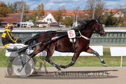 Dateiname=20251026_qu2_011_QU2_0034.jpg
Dateigröße=306KB
Abmessungen: 1000x667
hinzugefügt am: 27. Oktober 2025 20251026_qu2_011_QU2_0034.jpg