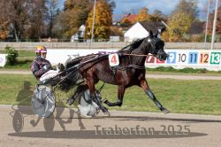 Dateiname=20251026_qu2_012_QU2_0038.jpg
Dateigröße=341KB
Abmessungen: 1000x667
hinzugefügt am: 27. Oktober 2025 20251026_qu2_012_QU2_0038.jpg