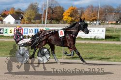 Dateiname=20251026_qu2_014_QU2_0042.jpg
Dateigröße=319KB
Abmessungen: 1000x667
hinzugefügt am: 27. Oktober 2025 20251026_qu2_014_QU2_0042.jpg