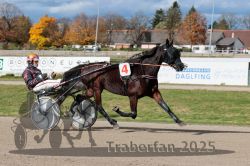 Dateiname=20251026_qu2_015_QU2_0045.jpg
Dateigröße=313KB
Abmessungen: 1000x667
hinzugefügt am: 27. Oktober 2025 20251026_qu2_015_QU2_0045.jpg