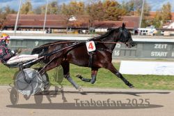 Dateiname=20251026_qu2_018_QU2_0055.jpg
Dateigröße=305KB
Abmessungen: 1000x667
hinzugefügt am: 27. Oktober 2025 20251026_qu2_018_QU2_0055.jpg