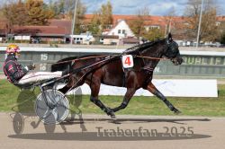 Dateiname=20251026_qu2_019_QU2_0058.jpg
Dateigröße=314KB
Abmessungen: 1000x667
hinzugefügt am: 27. Oktober 2025 20251026_qu2_019_QU2_0058.jpg