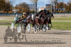 Dateiname=20251026_qu2_022_QU2_0072.jpg
Dateigröße=379KB
Abmessungen: 1000x667
hinzugefügt am: 27. Oktober 2025 20251026_qu2_022_QU2_0072.jpg