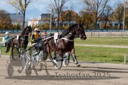 Dateiname=20251026_qu2_024_QU2_0076.jpg
Dateigröße=349KB
Abmessungen: 1000x667
hinzugefügt am: 27. Oktober 2025 20251026_qu2_024_QU2_0076.jpg