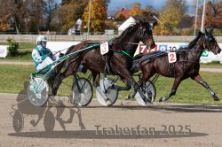 Dateiname=20251026_qu2_030_QU2_0093.jpg
Dateigröße=371KB
Abmessungen: 1000x667
hinzugefügt am: 27. Oktober 2025 20251026_qu2_030_QU2_0093.jpg