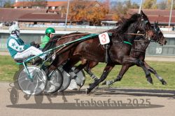 Dateiname=20251026_qu2_034_QU2_0107.jpg
Dateigröße=347KB
Abmessungen: 1000x667
hinzugefügt am: 27. Oktober 2025 20251026_qu2_034_QU2_0107.jpg