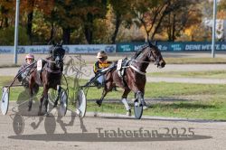 Dateiname=20251026_qu2_037_QU2_0117.jpg
Dateigröße=340KB
Abmessungen: 1000x667
hinzugefügt am: 27. Oktober 2025 20251026_qu2_037_QU2_0117.jpg