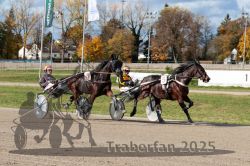 Dateiname=20251026_qu2_044_QU2_0143.jpg
Dateigröße=383KB
Abmessungen: 1000x667
hinzugefügt am: 27. Oktober 2025 20251026_qu2_044_QU2_0143.jpg