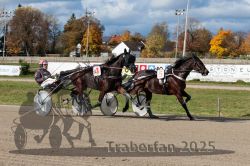 Dateiname=20251026_qu2_046_QU2_0150.jpg
Dateigröße=352KB
Abmessungen: 1000x667
hinzugefügt am: 27. Oktober 2025 20251026_qu2_046_QU2_0150.jpg