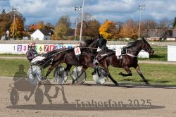 Dateiname=20251026_qu2_047_QU2_0153.jpg
Dateigröße=340KB
Abmessungen: 1000x667
hinzugefügt am: 27. Oktober 2025 20251026_qu2_047_QU2_0153.jpg