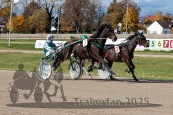 Dateiname=20251026_qu2_049_QU2_0162.jpg
Dateigröße=376KB
Abmessungen: 1000x667
hinzugefügt am: 27. Oktober 2025 20251026_qu2_049_QU2_0162.jpg