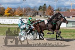 Dateiname=20251026_qu2_053_QU2_0173.jpg
Dateigröße=337KB
Abmessungen: 1000x667
hinzugefügt am: 27. Oktober 2025 20251026_qu2_053_QU2_0173.jpg