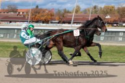 Dateiname=20251026_qu2_055_QU2_0179.jpg
Dateigröße=301KB
Abmessungen: 1000x667
hinzugefügt am: 27. Oktober 2025 20251026_qu2_055_QU2_0179.jpg