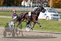 Dateiname=20251026_qu2_061_QU2_0198.jpg
Dateigröße=310KB
Abmessungen: 1000x667
hinzugefügt am: 27. Oktober 2025 20251026_qu2_061_QU2_0198.jpg