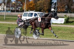 Dateiname=20251026_qu2_063_QU2_0202.jpg
Dateigröße=335KB
Abmessungen: 1000x667
hinzugefügt am: 27. Oktober 2025 20251026_qu2_063_QU2_0202.jpg