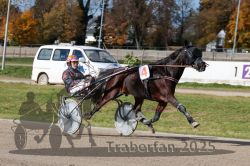 Dateiname=20251026_qu2_064_QU2_0205.jpg
Dateigröße=335KB
Abmessungen: 1000x667
hinzugefügt am: 27. Oktober 2025 20251026_qu2_064_QU2_0205.jpg